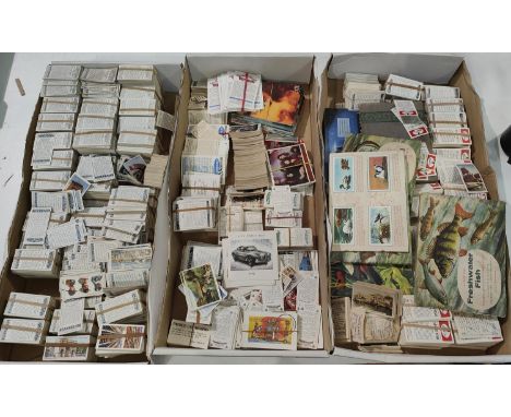 A large selection of cigarette cards:&nbsp; Black Cat, Will's; various series; etc. 