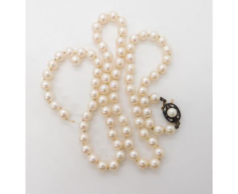 A string of pearls with a Canadian gold, rose cut diamond and pearl clasp, Length of pearls 62cm, diameter of pearls 6.5mm ap