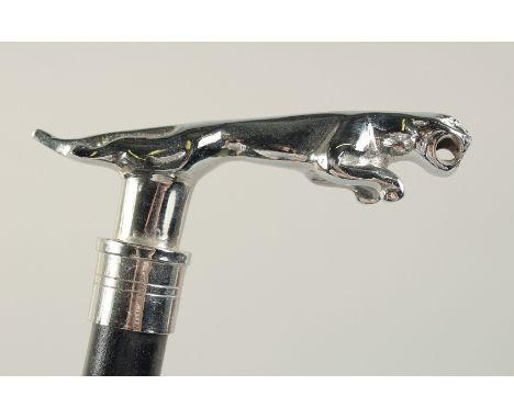 A CHROME JAGUAR HANDLE WALKING STICK 3ft long.