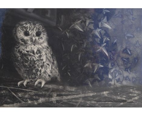 JACK CONTU, Owl and Ivy, limited edition print, numbered 40/50, signed and dated 1960, framed and glazed. 72 x 53 cm.