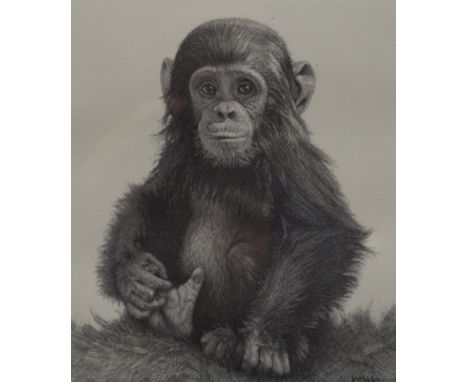 KEVIN HAYLER, Fingers and Thumbs, print, signed, framed and glazed. 20 x 25 cm.