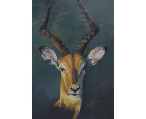 STUART MALLARD, Gazelle, limited edition print, numbered 6/500, signed, with certificate of authenticity, framed and glazed. 