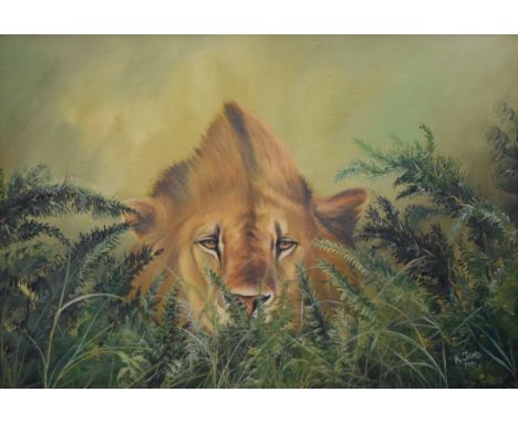 K JONS, Lion, oil on board, signed and dated 2001, framed. 72 x 49.5 cm.