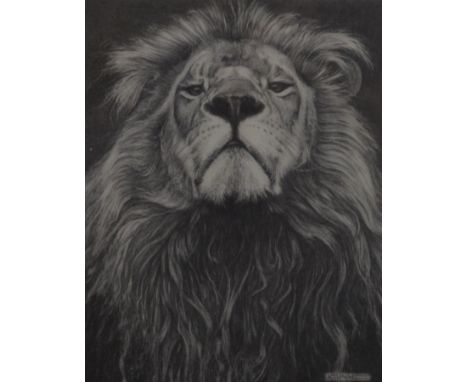 KEVIN HAYLER, Head of the Family, print, signed, framed and glazed. 20 x 25 cm.