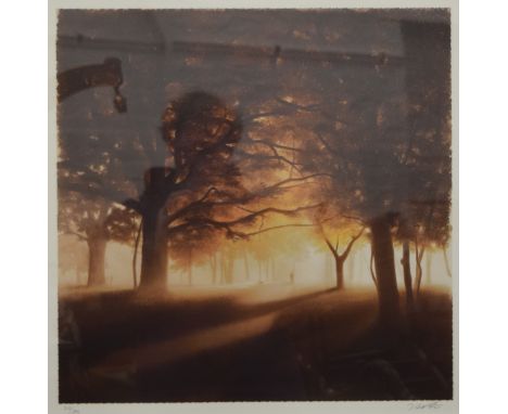 JOHN WATERHOUSE, A Walk Through the Park, limited edition print, numbered 295/395, indistinctly signed, old label to verso, f