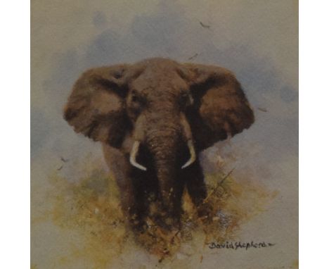 DAVID SHEPHERD, Elephants, limited edition print, numbered 242/1000, signed, framed and glazed. 18 x 18 cm.