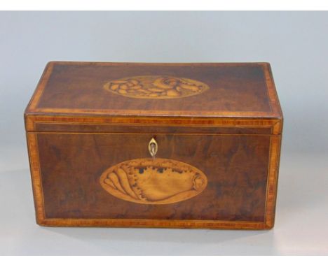 Regency satinwood and rosewood inlaid caddy with oval shell inlay to top and front, 23 cm long