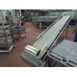 Incline Conveyor - 2 of 2 conveyors used to transfer mozza blocks to brine tank. | Rig Fee $100