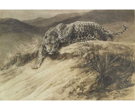 Herbert Dicksee (1862-1942) Stealth, a prowling leopard, signed lower left, etching, 47 x 69 cm, frame 69 x 89 cm
Provenance: