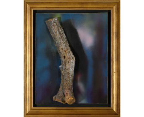 Noronha da Costa (1942-2020)Untitled, 1991Cellulose paint and trunk on canvasSigned on the reverseWith label from Galeria Nas