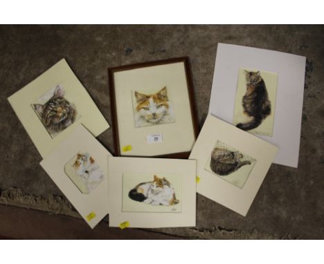 MARY R TURNER - A COLLECTION OF UNFRAMED WATERCOLOUR STUDIES OF CATS, TOGETHER WITH A FRAMED AND GLAZED EXAMPLE ALL INITIALLE