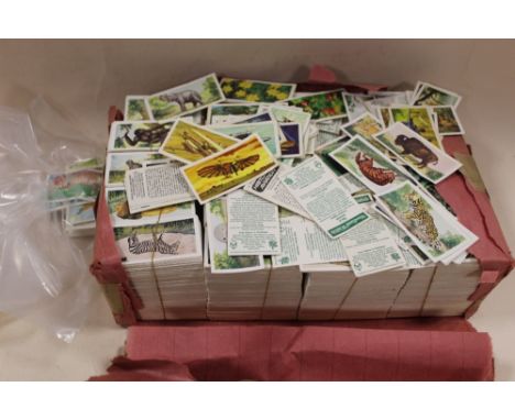 A BOX OF VINTAGE CIGARETTE CARDS