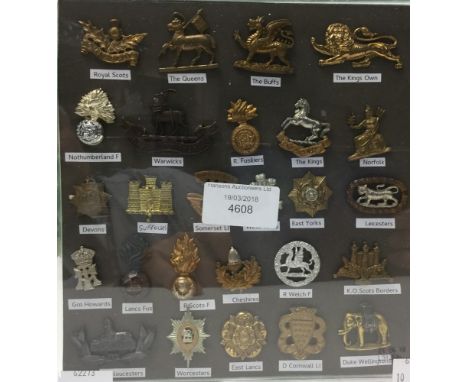 British Army Collar dogs: Infantry. Pre year 1990. 26 items contained in a display case.