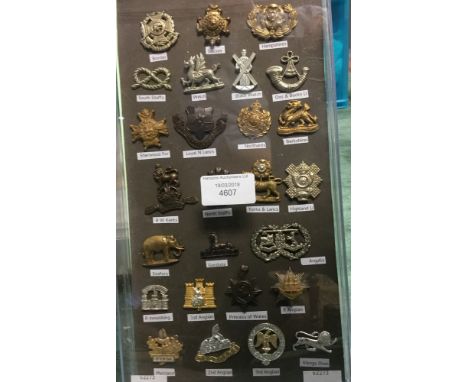 British Army Collar dogs: Infantry pre year 1990. 26 items mounted in a display case.
