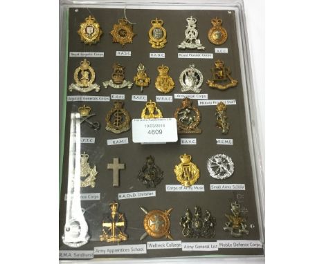 British Army Collar Dogs. Combat Support Services. Mainly post year 2000. 26 items contained in a display case.