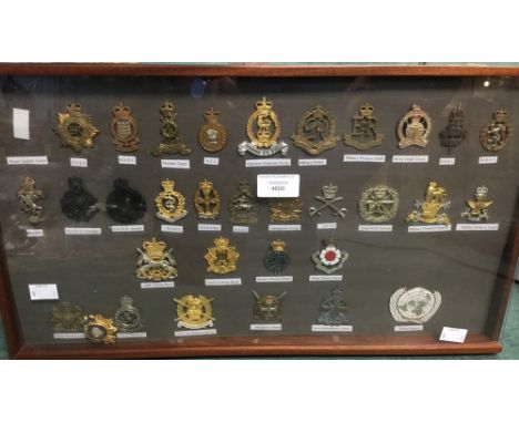 British Army cap badges. Combat and Support Services plus Army schools. Mainly post year 2000. 32 items mounted in a display 