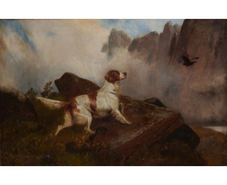 COLIN GRAEME ROE (1857-1910) AN ENGLISH SETTER   signed (Colin Graeme in red), oil on canvas, 60 x 90cm, on the reverse a vie
