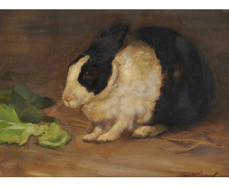 CHRISTINE MCGREGOR (EXH 1921-25) STUDY OF A RABBIT   signed and dated 1919, oil on canvas, 28 x 38cm++Good condition, unlined
