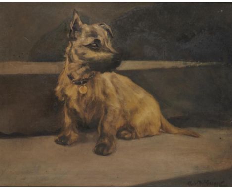 CHRISTINE MCGREGOR (EXH 1921-25) PORTRAIT OF A TERRIER  signed, oil on canvas, 39.5 x 49.5cm++Small horizontal patch on rever