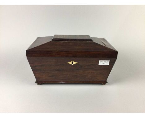 REGENCY ROSEWOOD SARCOPHAGUS FORMED TEA CADDY,with ivory scutcheon and two division interior, on brass ball feet, 32cm wide