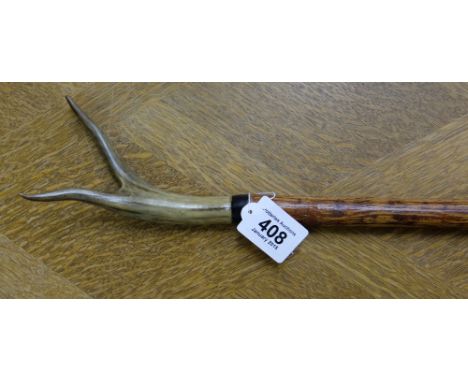 Walking Stick, Hazel wood with Deer Horn Thumb handle