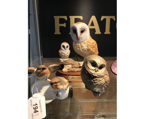 CAPODIMANTE CHICKS , POOLE OWLET & LEONARDO BARN OWLS