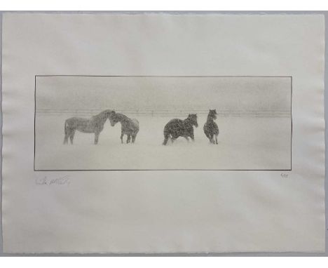 A platinum print 'Horses in Snow, Sussex, 1986' by Linda McCartney. Number 6 from an edition of 25 published by the James Hym