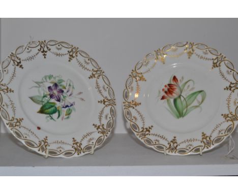 A pair of Sampson Hancock shaped circular Botanical specimen plates, painted with tulip and honeysuckle, pierced border picke