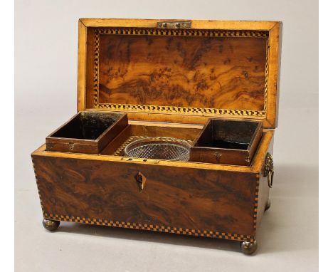 A GEORGE III YEW WOOD TEA CADDY. of rectangular form with canted top and chequered stringing to the corners, with lion mask r