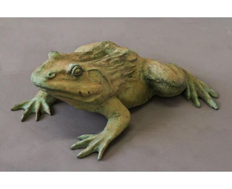 A GARDEN SCULPTURE OF A BRONZE FROG, with head raised, 55cm x 49cm.