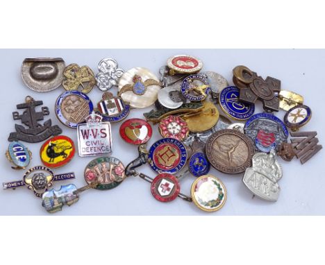 Various enamel lapel badges and military badges 
