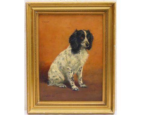 Frances Mable Hollams (1877-1963), Portrait of 'Freda' the Springer Spaniel, oil on board, signed, titled and dated 1943, Not