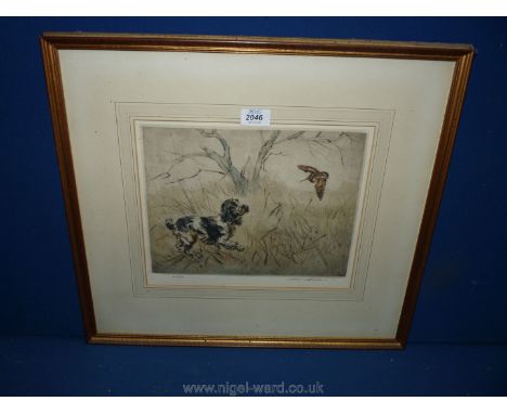 A limited edition framed and mounted Print, no. 75/150 of a spaniel sending up a woodcock, signed lower right in pencil (?) W