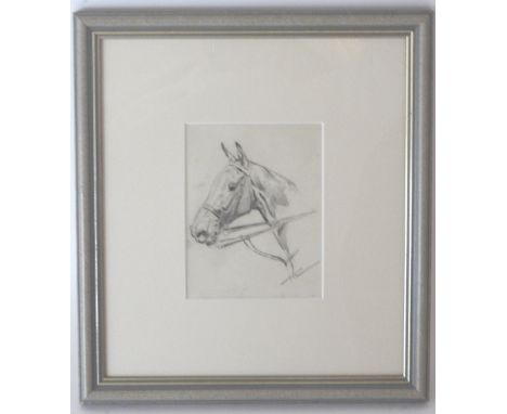 Thomas Ivestor Lloyd (1873-1942),
Portrait of a Horse, head and shoulders,
Pencil,
14x11cm
