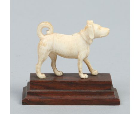 A 19th century Continental carved ivory model of a dog raised on a hardwood plinth, possibly Dieppe, plinth 6.75cm wide.    C