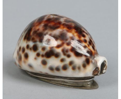 An early 19th century silver mounted cowrie shell snuff box. The hinged cover engraved J. N. to W. K. for auld lang syne. Hal