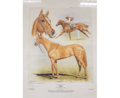 AFTER PETER DEIGHAN "Pebbles", print of the racehorse signed lower left and also signed by the jockey, Pat Eddery lower right