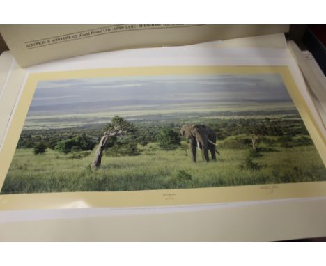 APPROXIMATELY THIRTY LARGE SOLOMON AND WHITEHEAD ASSORTED SIGNED WILDLIFE ARTIST PROOF PRINTS BY GIBBS, DAVID SHEPHERD ETC