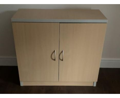 A twin door cupboard measuring approximately 72 cm x 80 cm x 35 cm. [W]

NOTE: ITEM IS LOCATED IN THE WA7 POSTCODE AREA, THE 