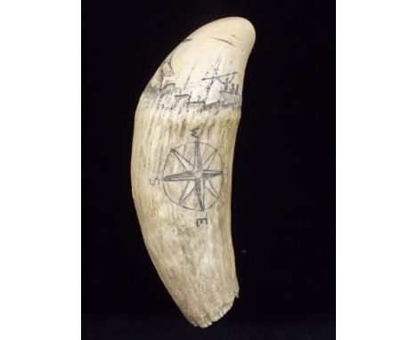 Whale tooth scimshaw etched with whaling scene and nautical compass, height 15cm