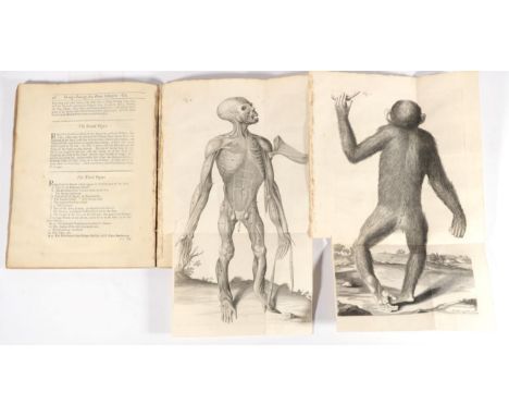 Tyson, Edward Orang-Outang, Sive Homo Sylvestris or, the Anatomy of a Pygmie Compared with that of a Monkey, an Ape, and a Ma