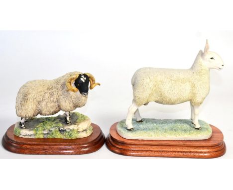 Border Fine Arts 'Border Leicester Tup', model No. L163 by Ray Ayres, limited edition 813/950, on wood base, with box and cer