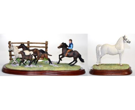 Border Fine Arts 'The Drift' (New Forest Ponies), Studio model No. A3876 by Anne Wall, limited edition 84/750, on wood base w