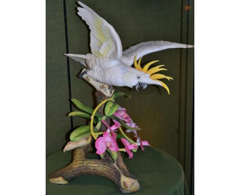 Connoisseur of Malvern porcelain model 'Australian Cockatoo' perched on a branch base, wrapped in orchids, limited edition 20