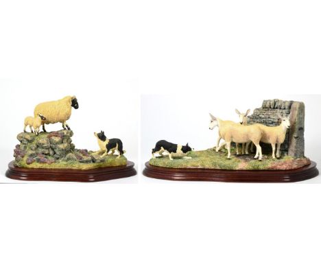 Border Fine Arts 'Stand Off' (Border Collie and Sheep), model No. B0701 by Ray Ayres, limited edition 297/1750, on wood base,