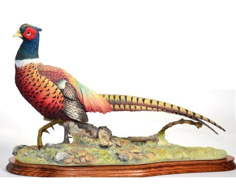 Border Fine Arts 'Autumn Glory' (Pheasant), Millennium model No. B0488 by Russell Willis, limited edition 510/950, on wood ba
