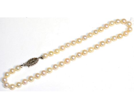 A cultured pearl necklace with an 18 carat white gold ruby set clasp, a uniform strand of cultured pearls knotted to an oval 