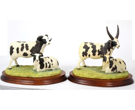 Border Fine Arts 'Jacob Sheep' (Four-Horned), model No. B0352, limited edition 422/750 and 'Jacob Sheep' (Two-Horned), model 
