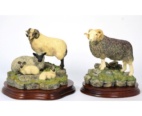 Border Fine Arts 'Herdwick Tup', model No. B0705 by Ray Ayres, limited edition 127/750, on wood base, with box and certificat