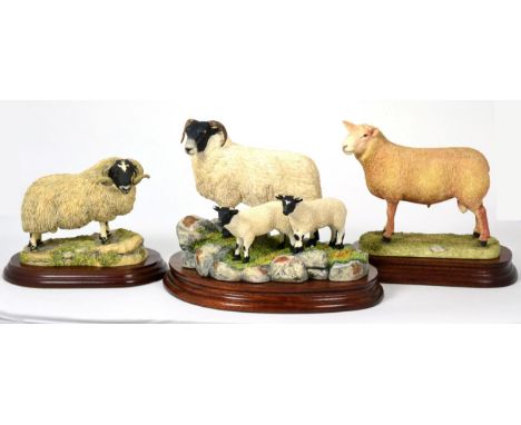 Border Fine Arts 'Blackie Ewe and Lambs', model No. B0887 by Ray Ayres, limited edition 225/1250, on wood base, with box and 